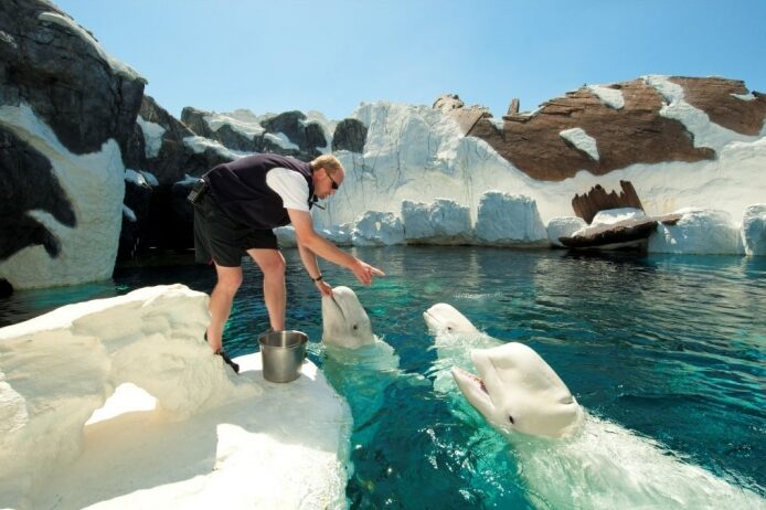 San Diego Excursies Sea World